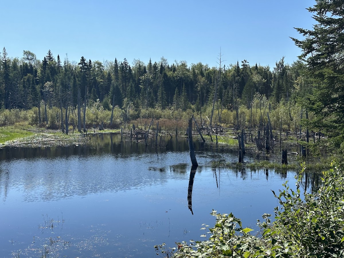 Aroostook National Wildlife Refuge