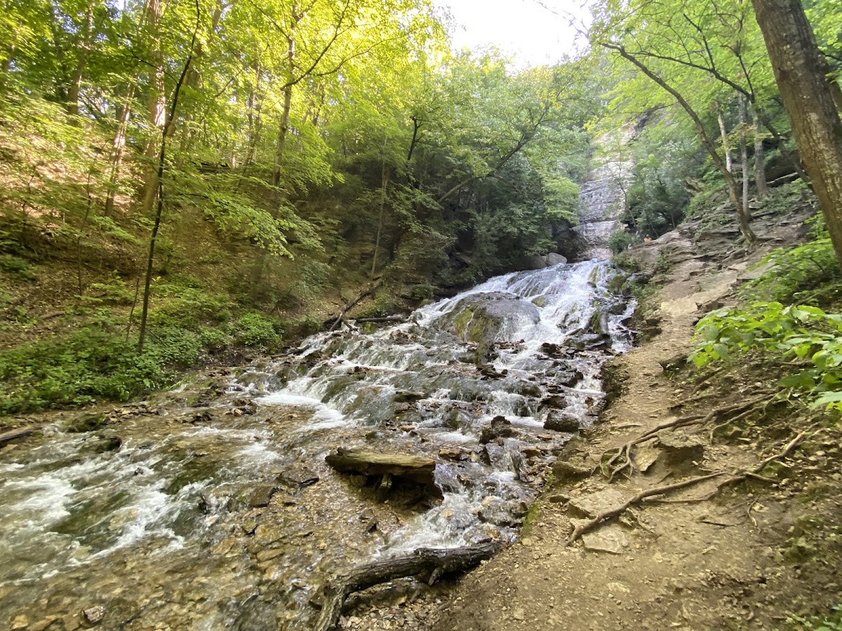 Dunning's Spring Park