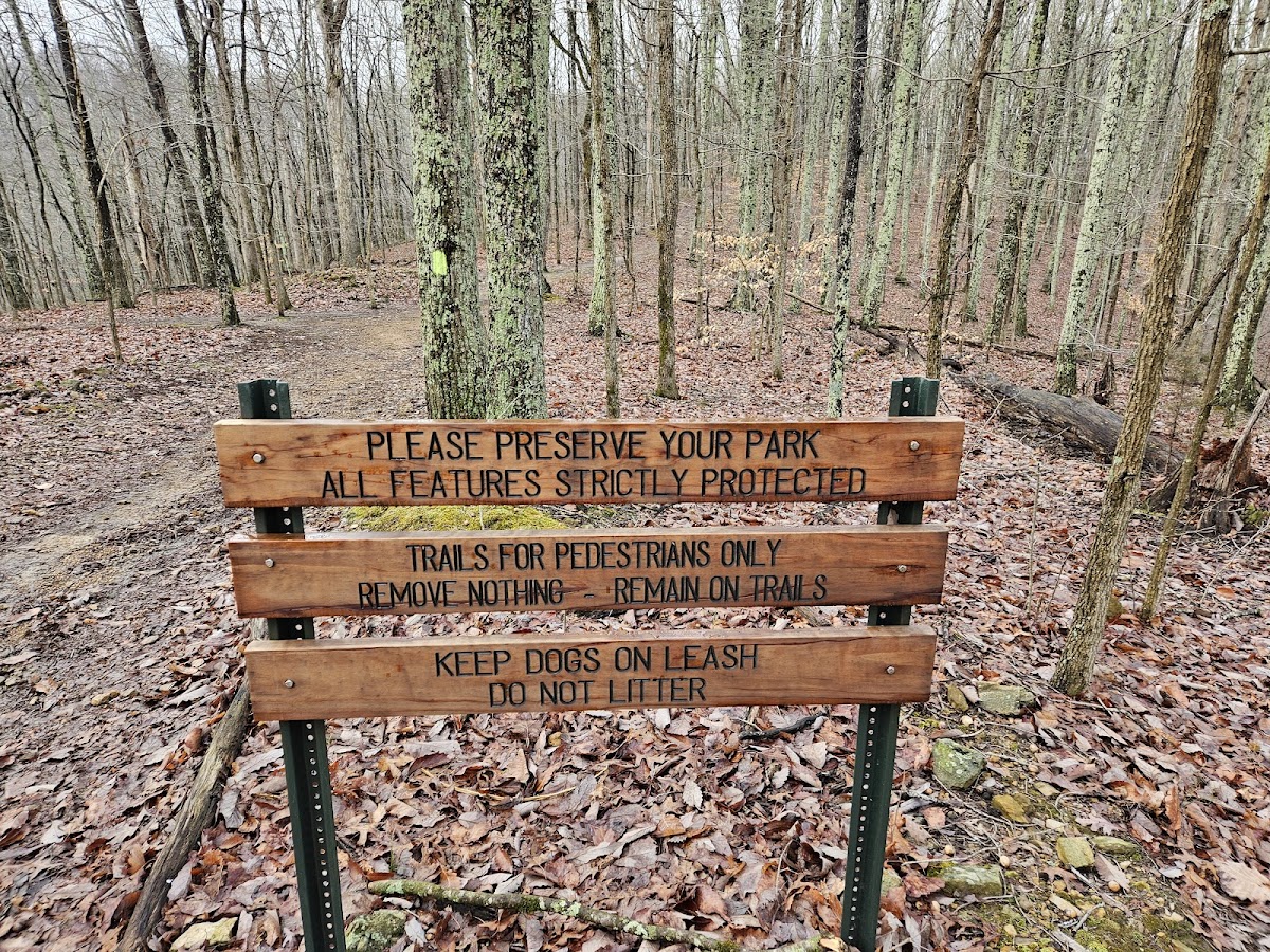 Beaman Park