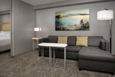 SpringHill Suites by Marriott Boise ParkCenter photo 3
