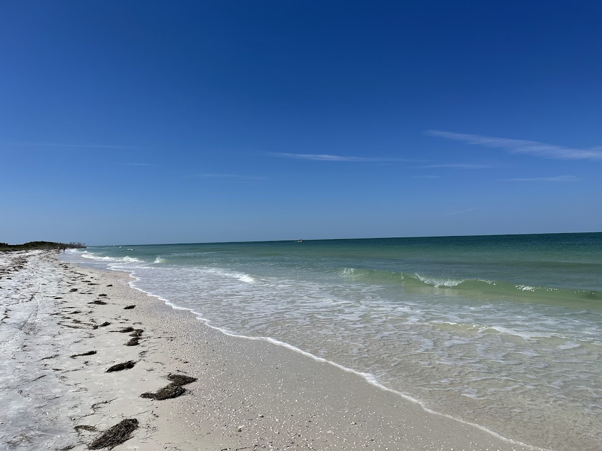 Honeymoon Island State Park