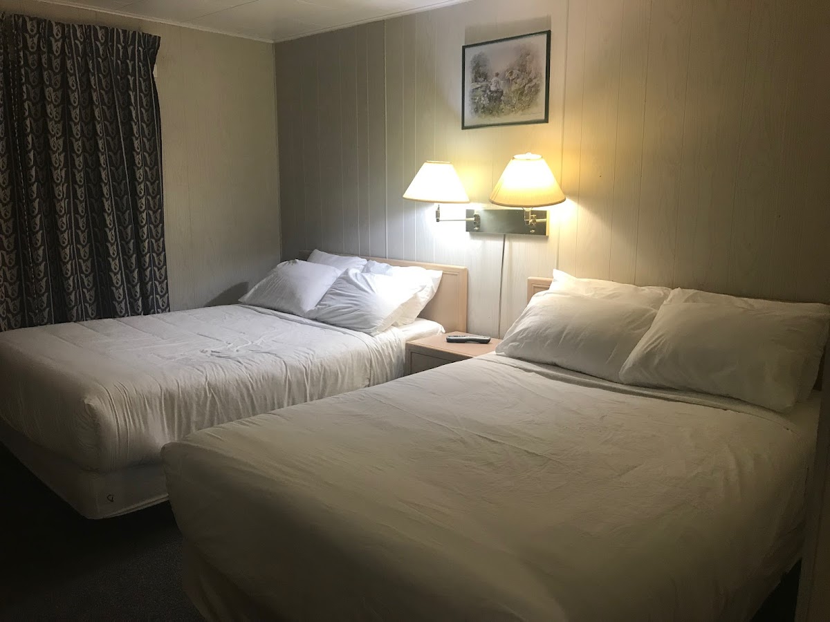 Oasis Hotel photo 2