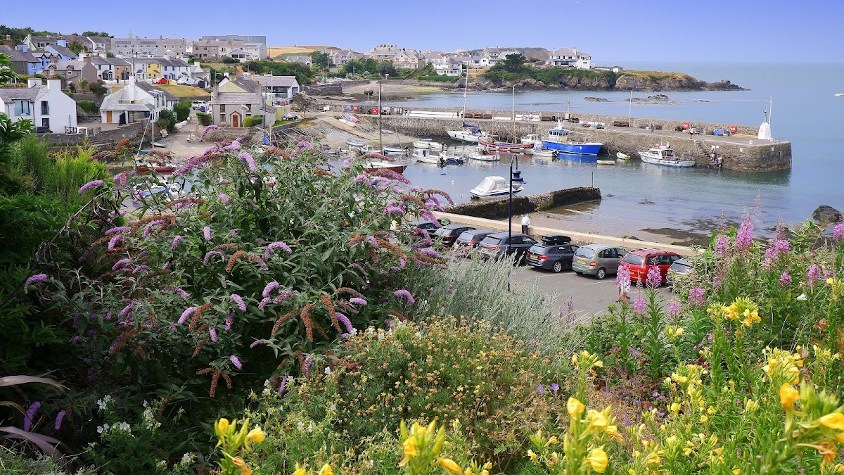 Cemaes Bay