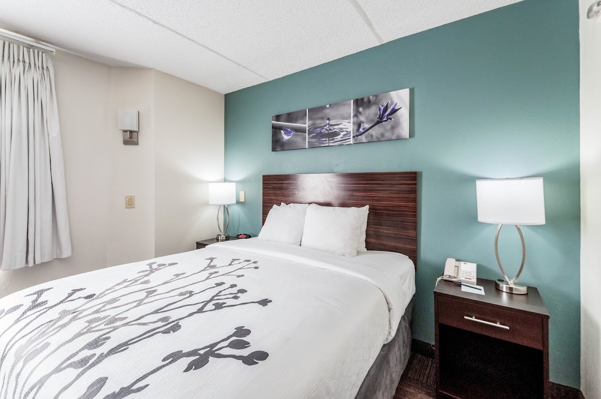 Sleep Inn & Suites Rehoboth Beach photo 2