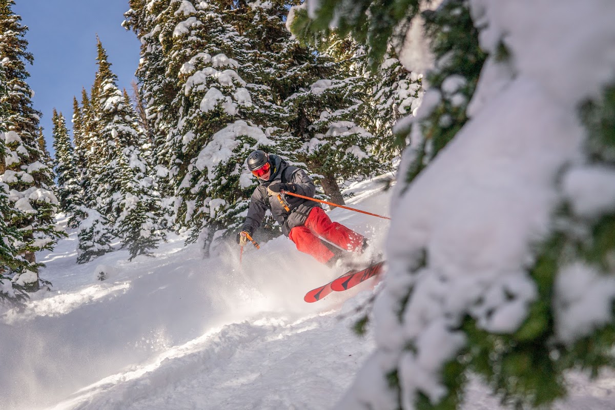 White Grizzly Cat Skiing Lodge photo 2