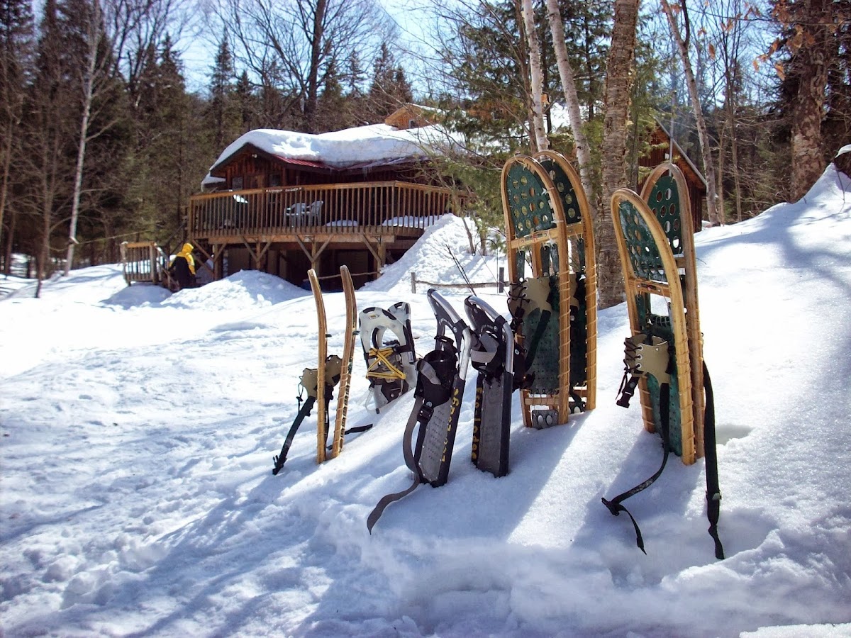 Algonquin Eco-Lodge photo 3