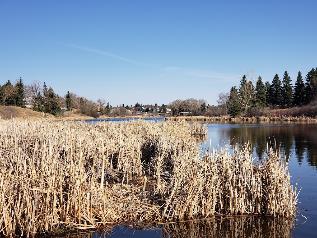 Mirror Lake