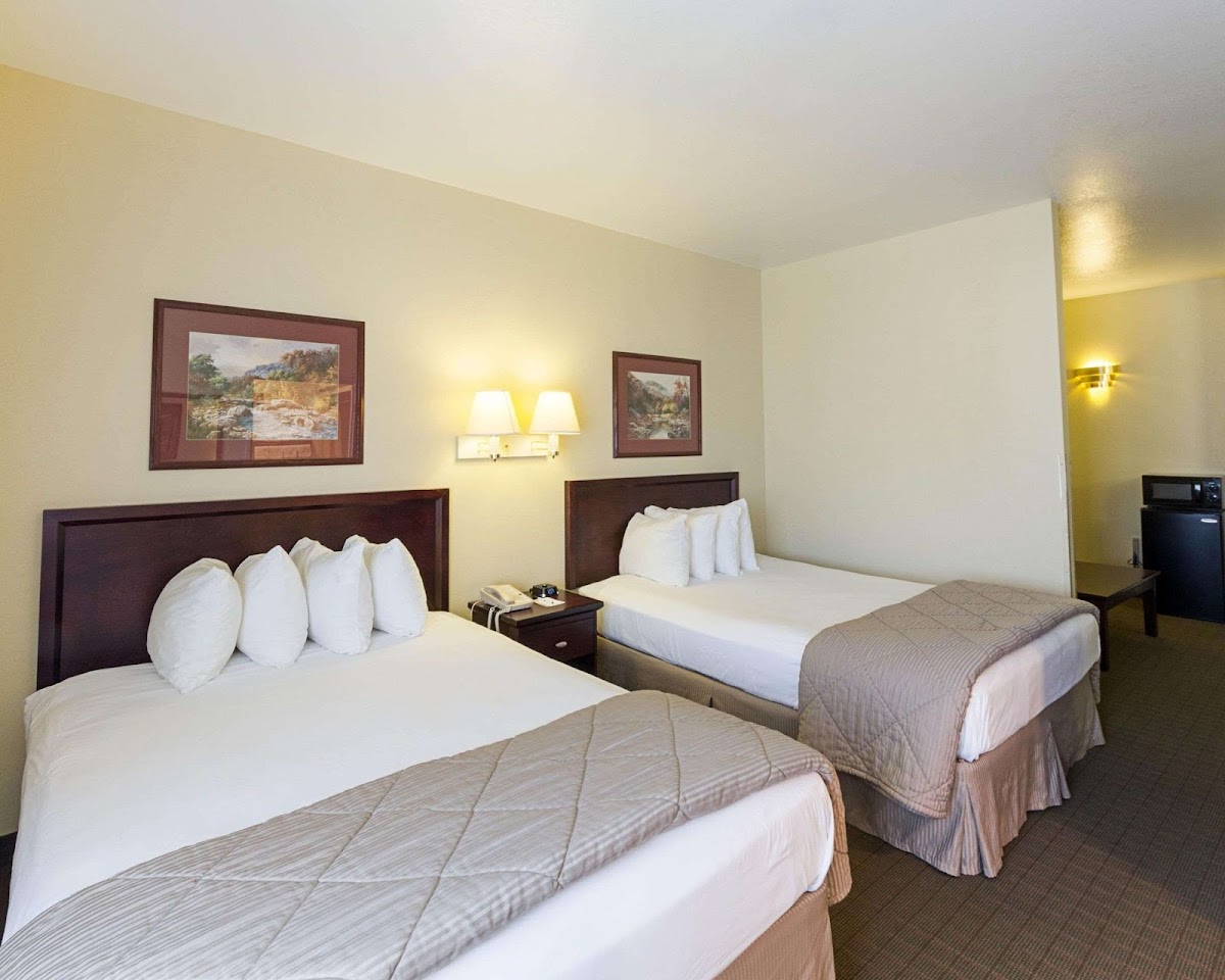 Quality Inn & Suites Kerrville photo 2