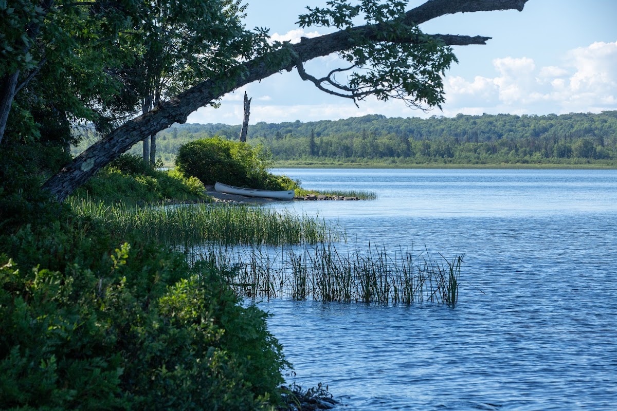Bright Lake