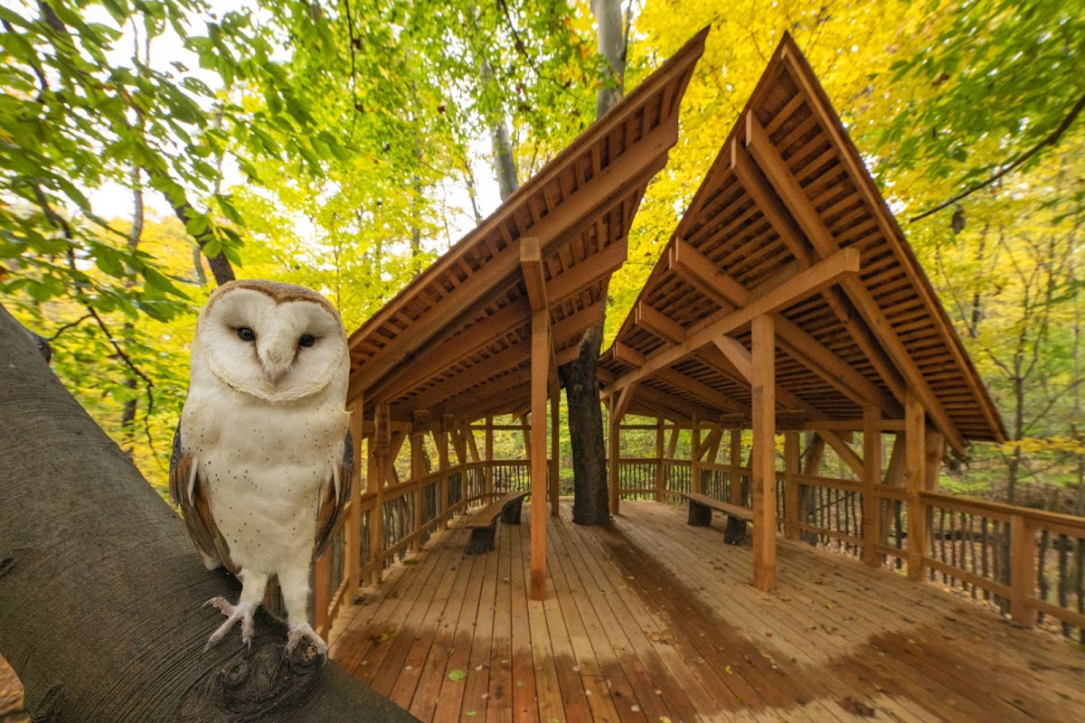 Ohio Bird Sanctuary