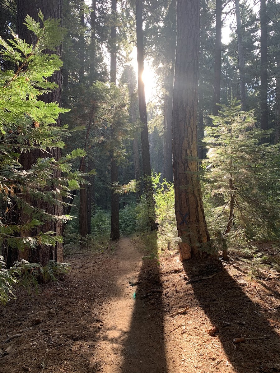 Arnold Rim Trail Head