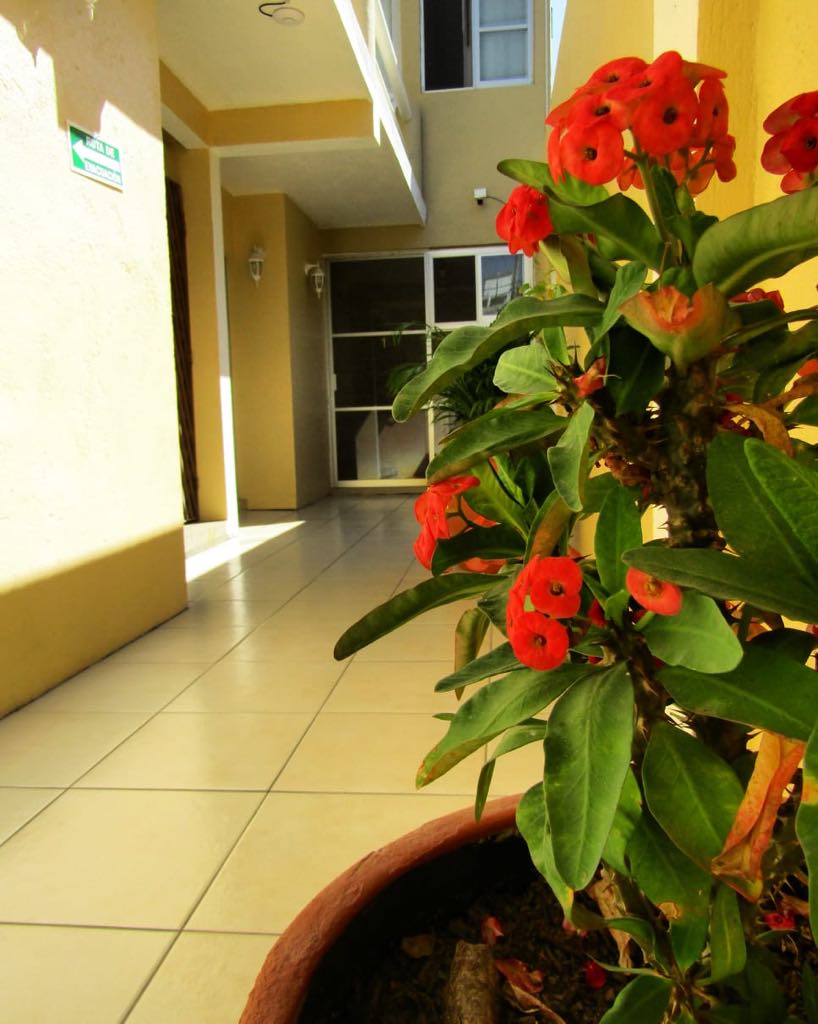 Hotel Moondo photo 3