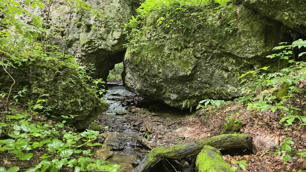 Fort Hill Earthworks & Nature Preserve