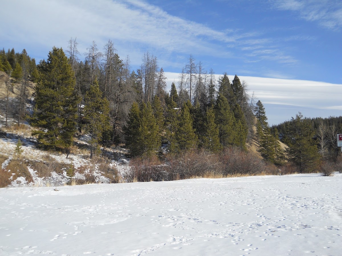 Homestake Pass