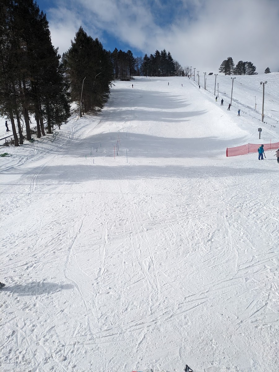Brantling Ski Slopes Inc