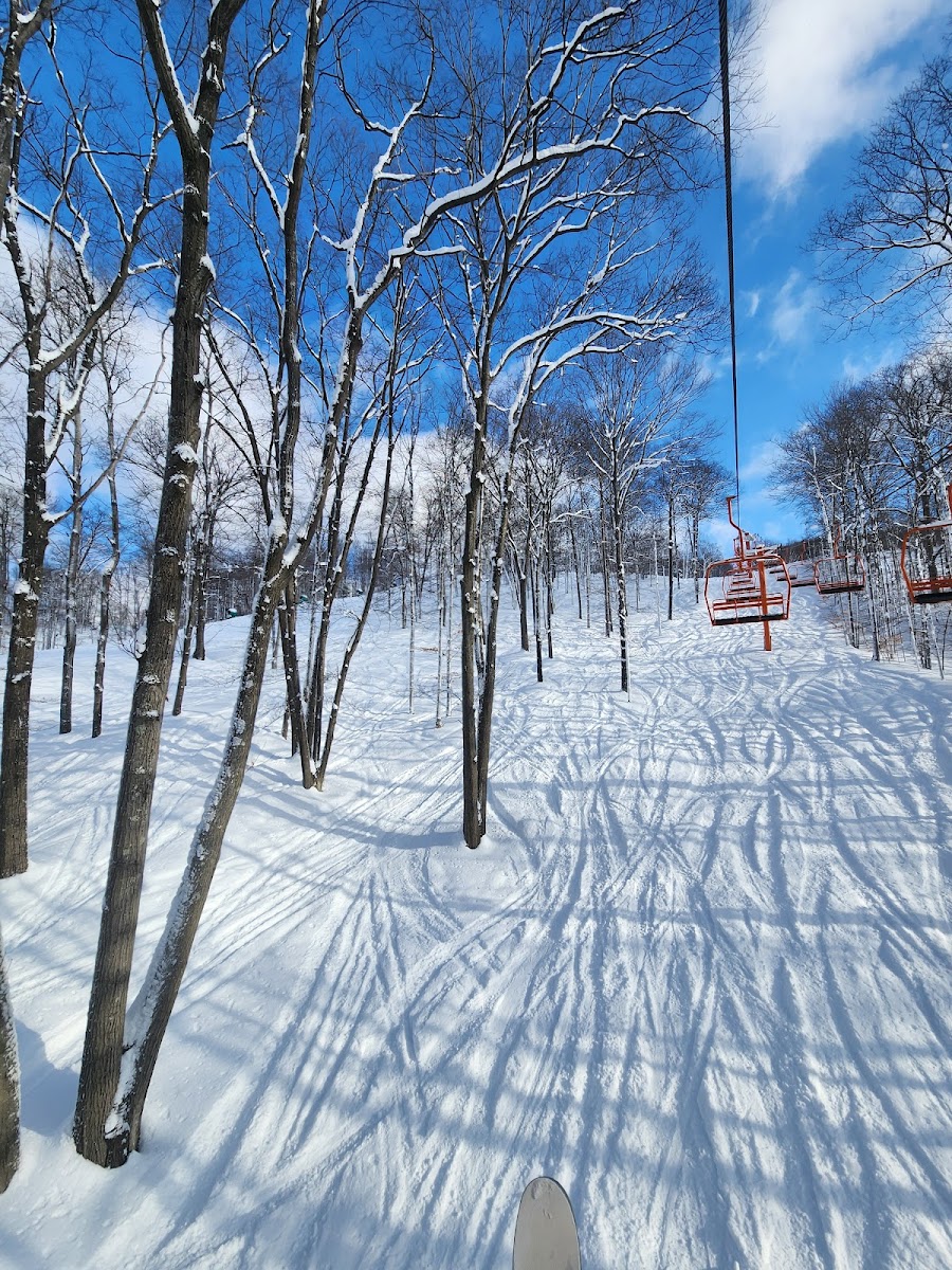 Nubs Nob Ski Resort photo 2