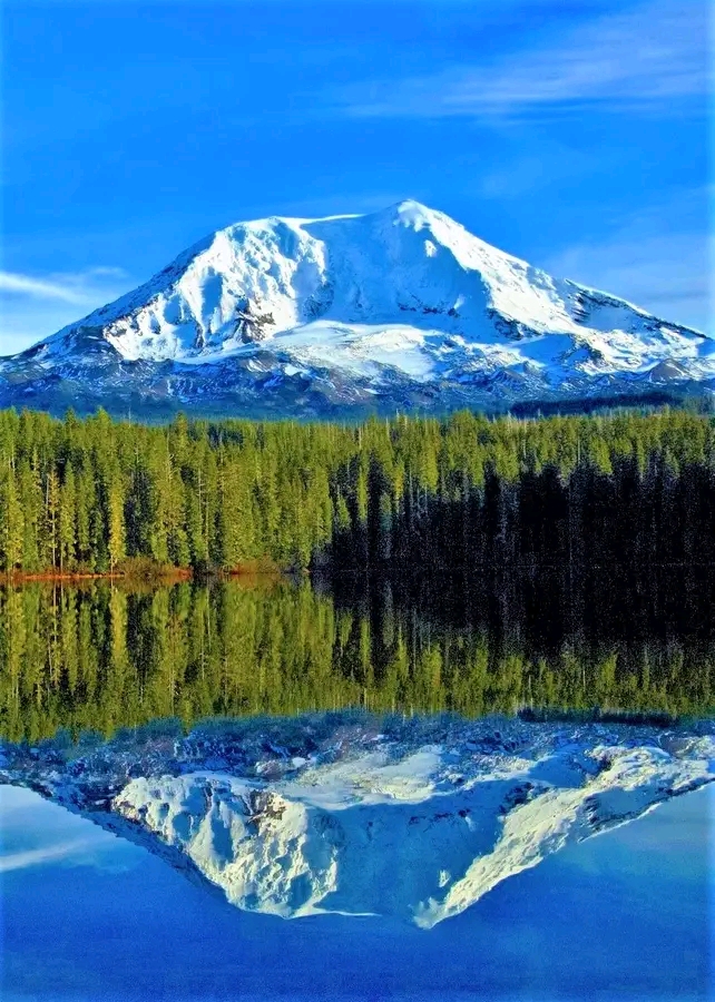 Gifford Pinchot National Forest
