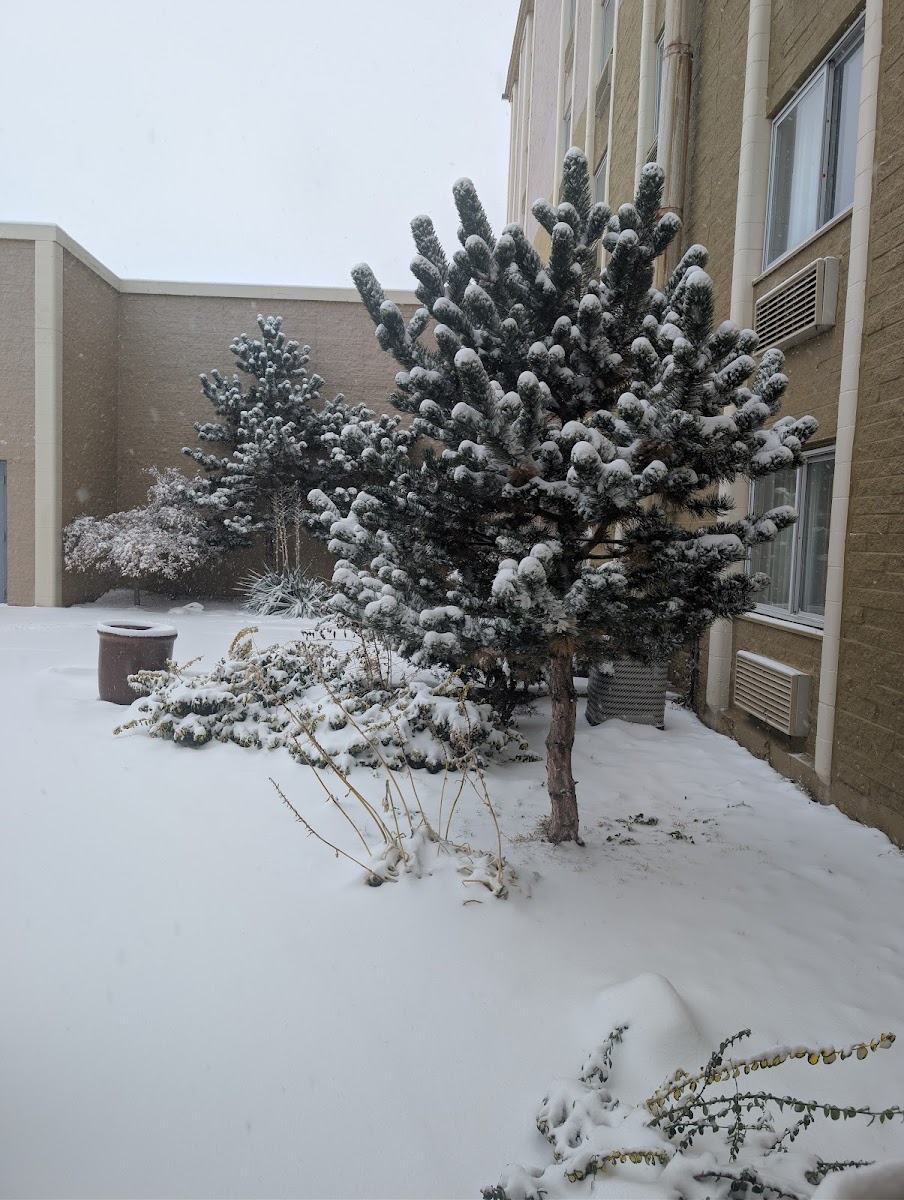 Wyndham Omaha/West Dodge photo 2