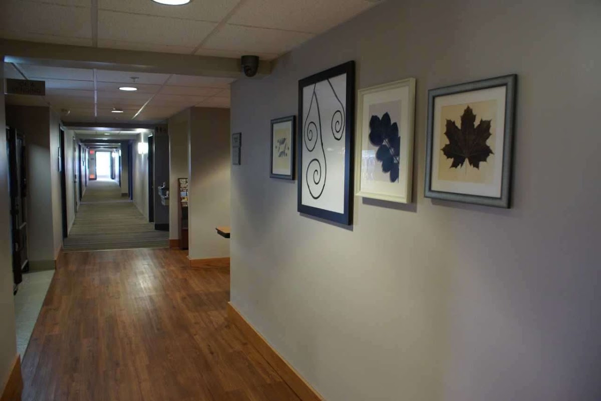 Country Inn & Suites by Radisson, Lansing, MI photo 2