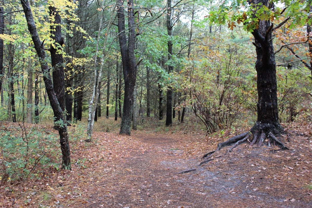 Quogue Wildlife Refuge