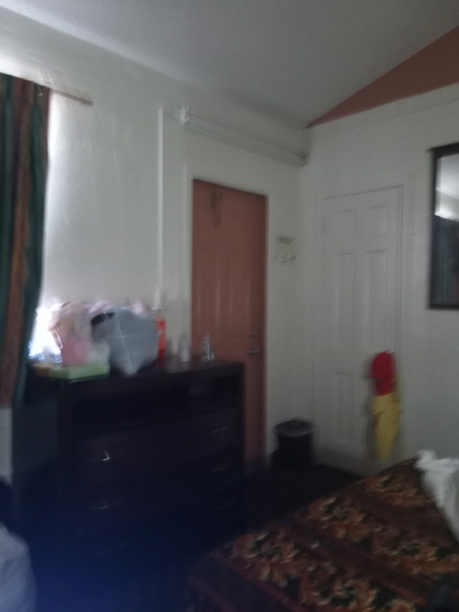 Travel Budget Inn photo 3