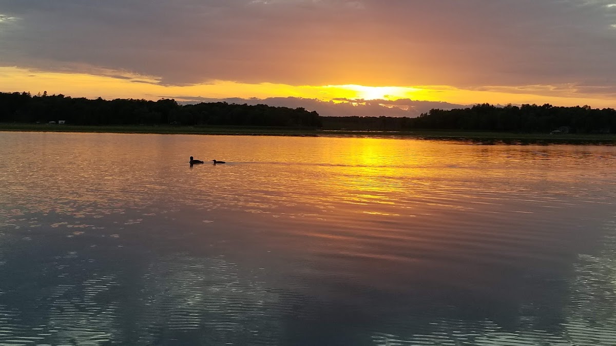 Third Crow Wing Lake