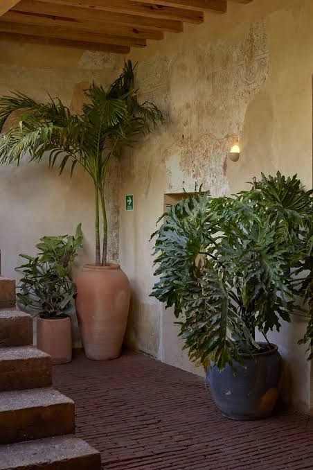 Hotel Escondido photo 2