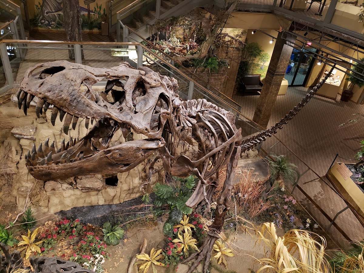 Glendive Dinosaur and Fossil Museum