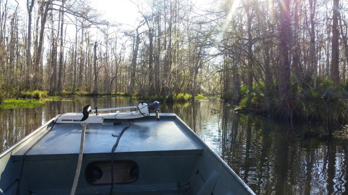 Bayou Teche National Wildlife Refuge - Garden City Unit