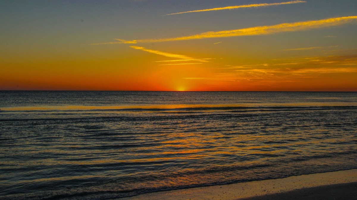 Coral Reef Beach Resort photo 3