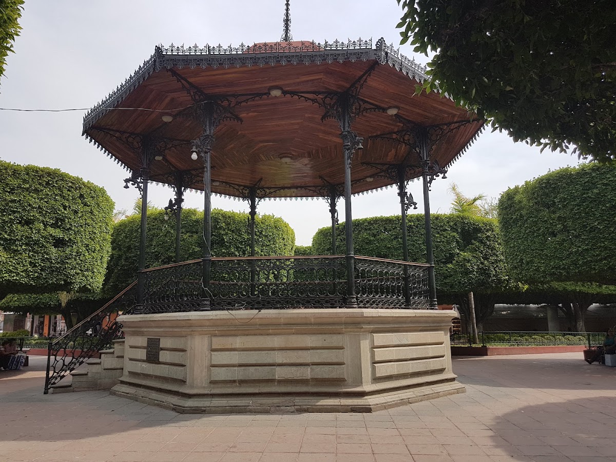 Jardin Principal De Valle De Santiago, Gto.