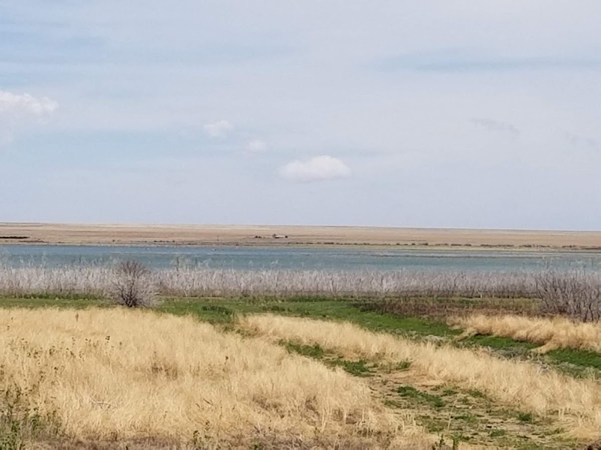 Neenoshe Reservoir
