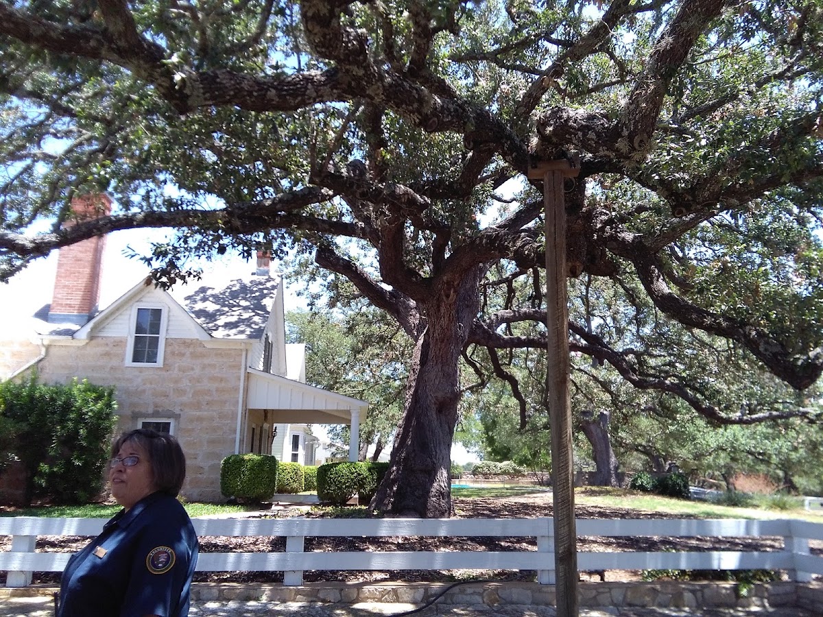 Lyndon B Johnson National Grassland