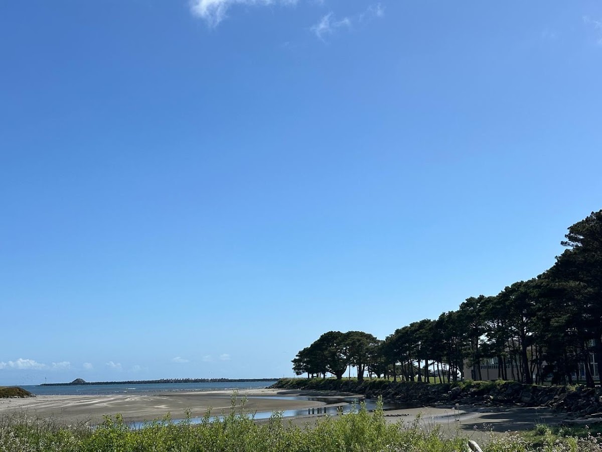Beachside Inn photo 3