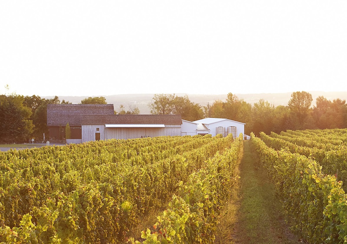 Hermann J. Wiemer Vineyard