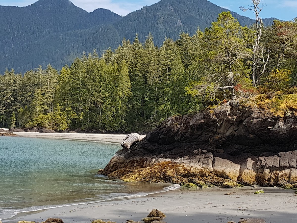 Rugged Point Marine Provincial Park