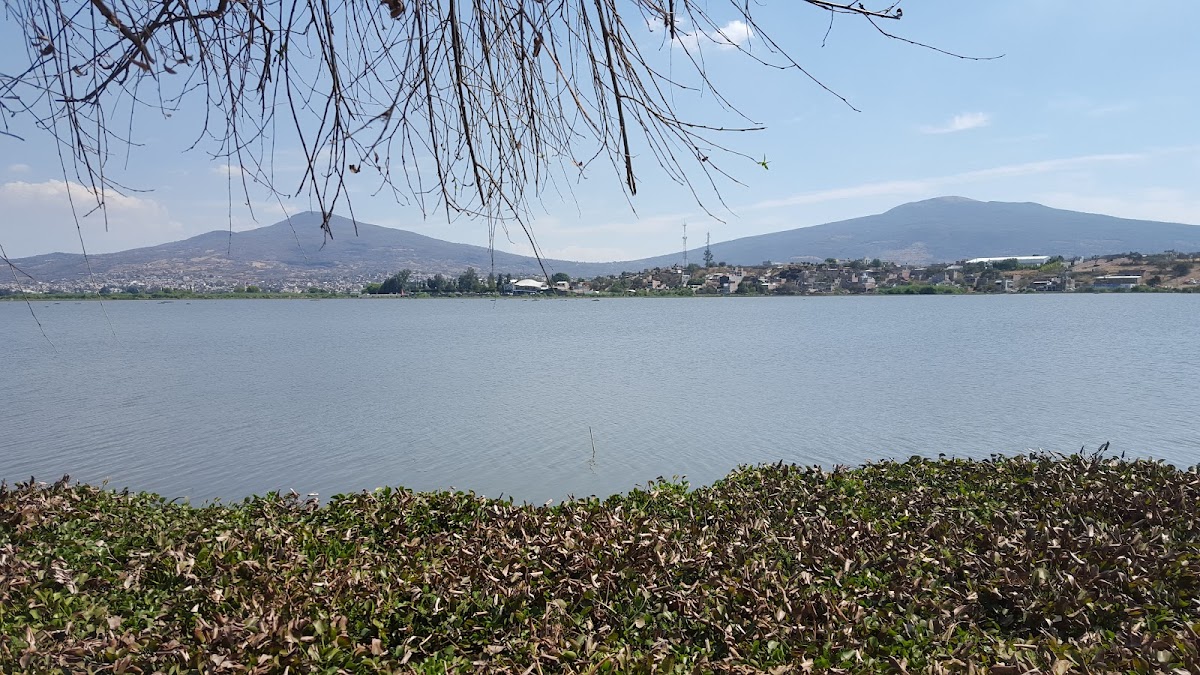 Laguna de Yuriria