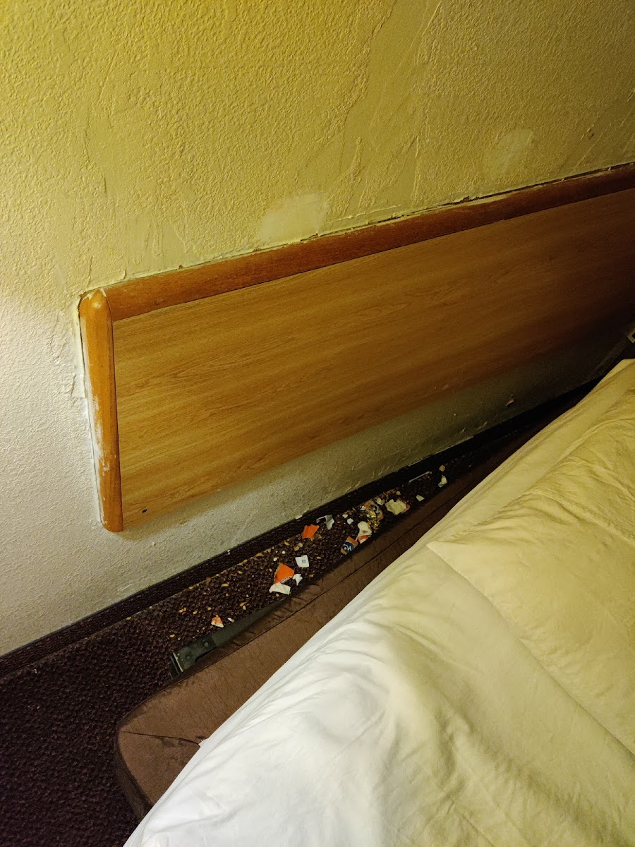 5555 Cedar Court Hotel photo 3