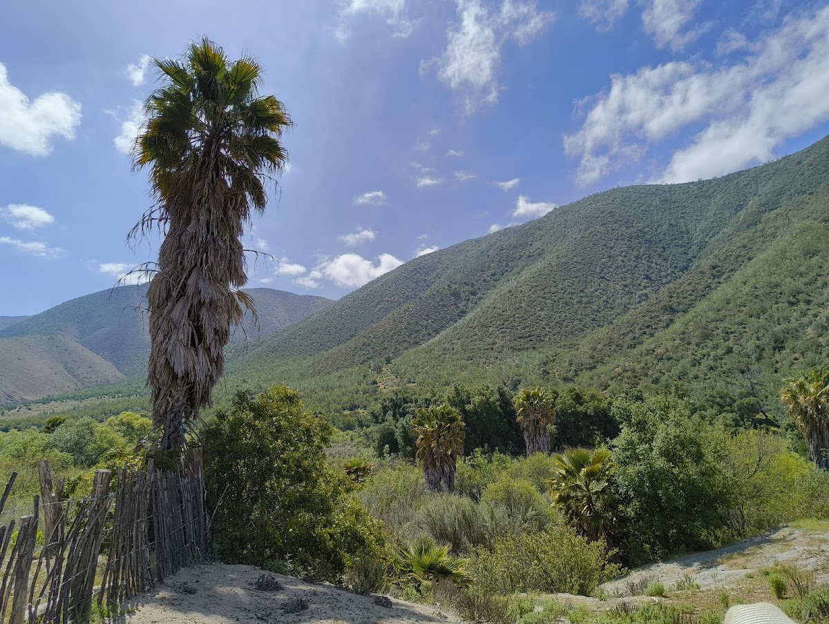 Rancho Agua Caliente photo 2