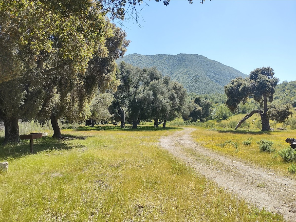 Rancho Agua Caliente photo 3
