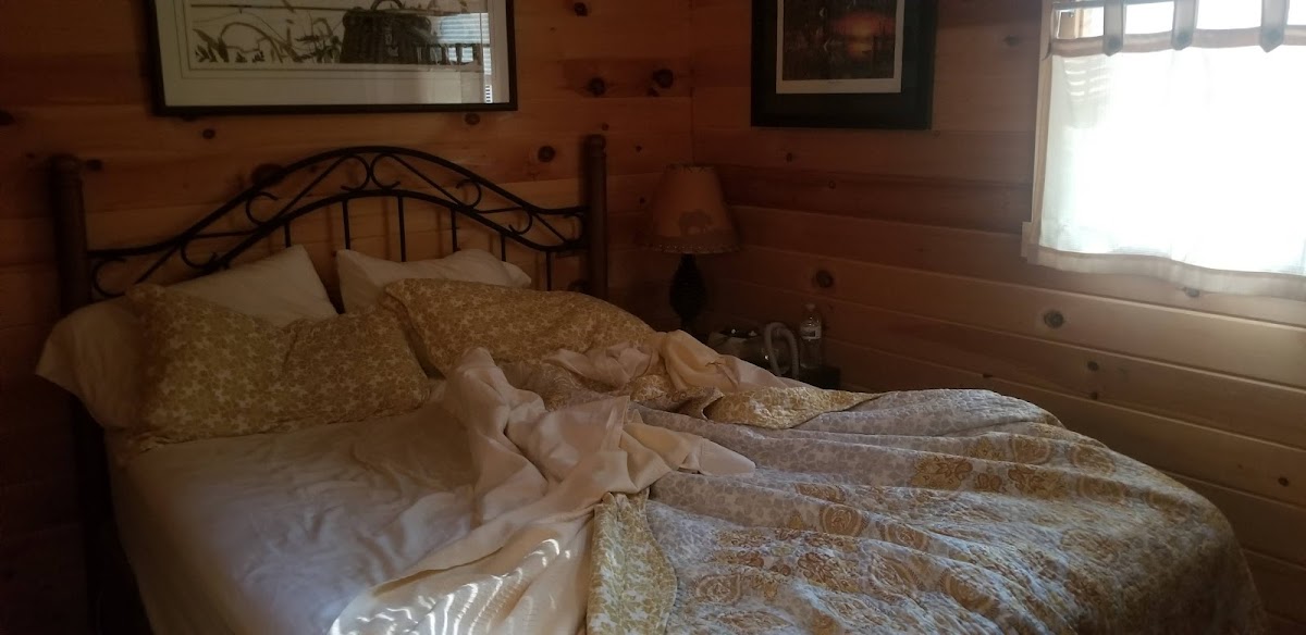 Thunderbird Village photo 2