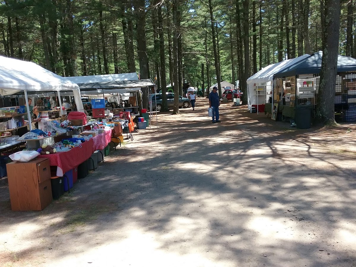 Thunderbird Village photo 3