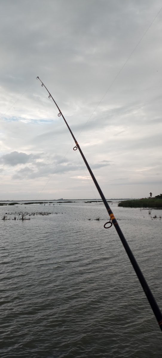 Delta Lake