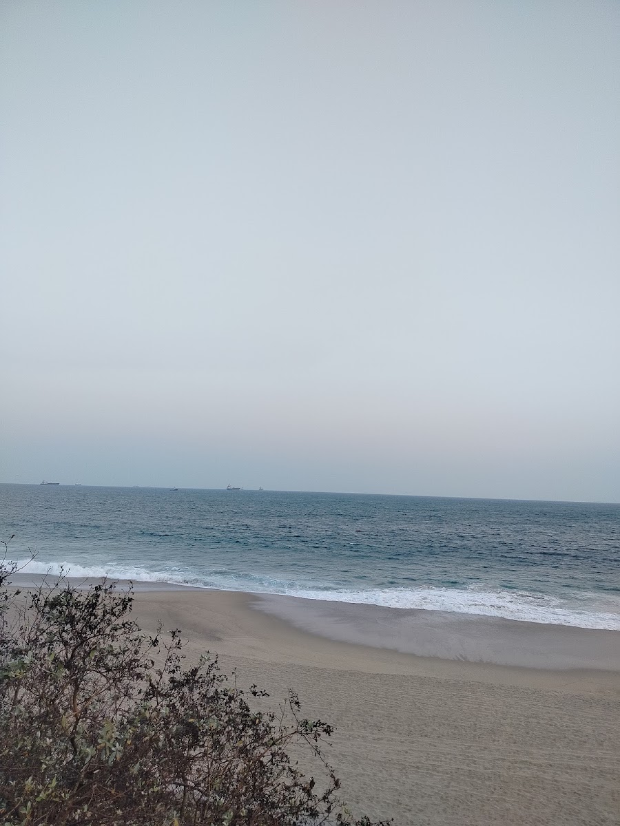 Playa Abierta