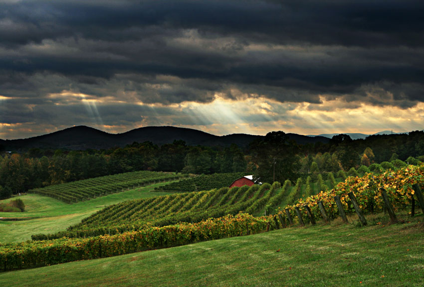 Three Sisters Vineyards & Winery