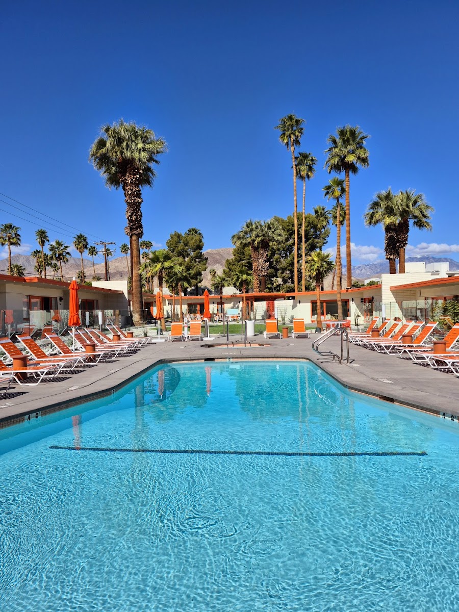 Mojave Resort photo 3