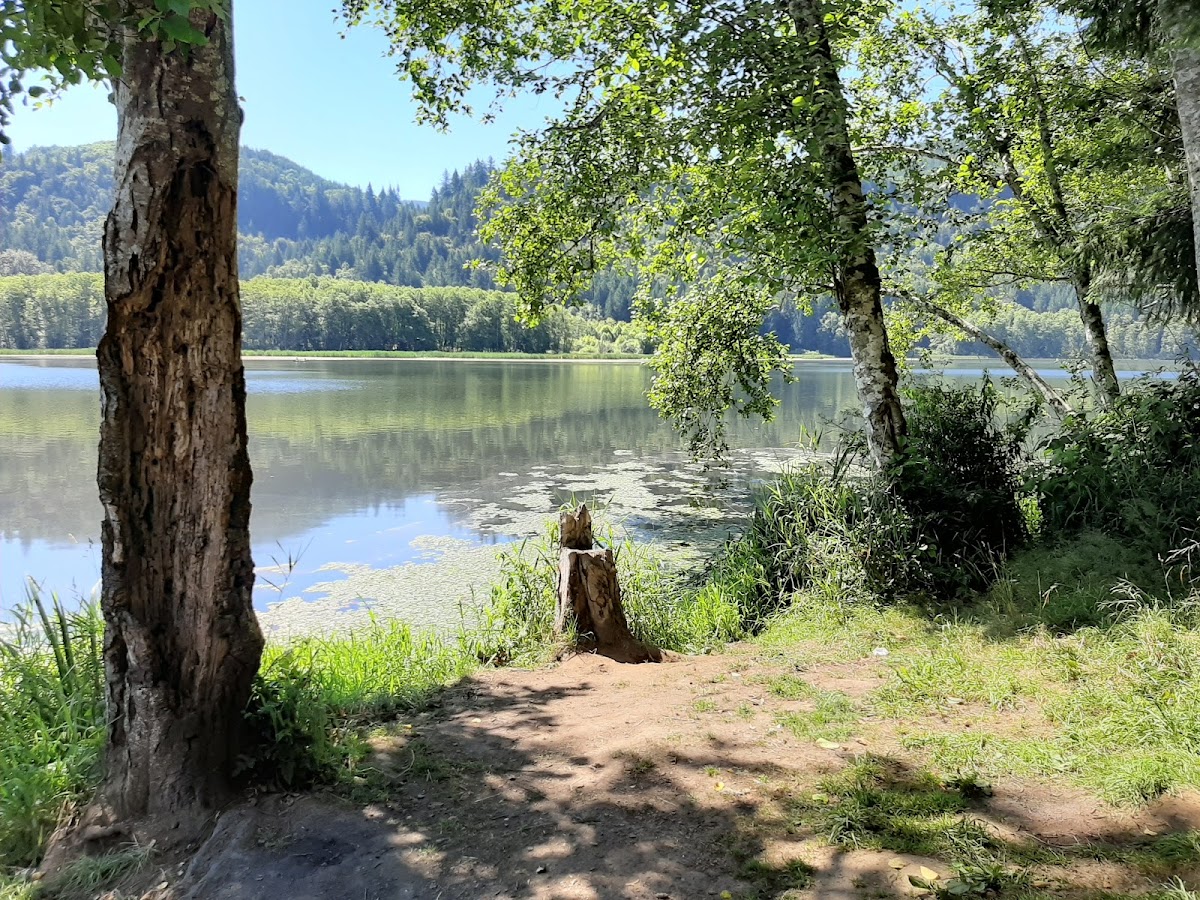 Swofford Pond