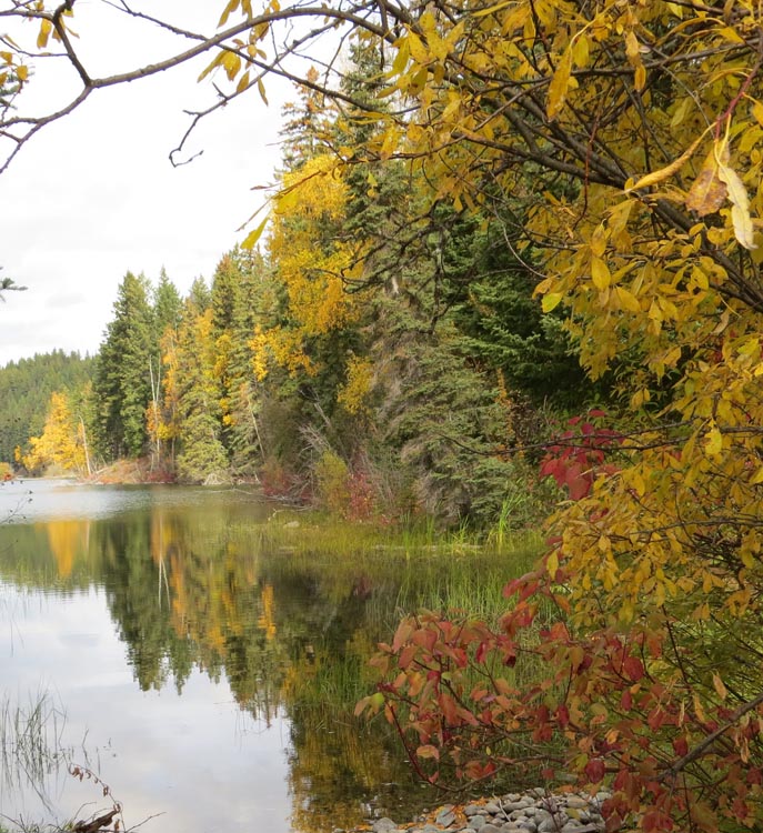 Moosehaven Resort & Campground On Hathaway Lake photo 2