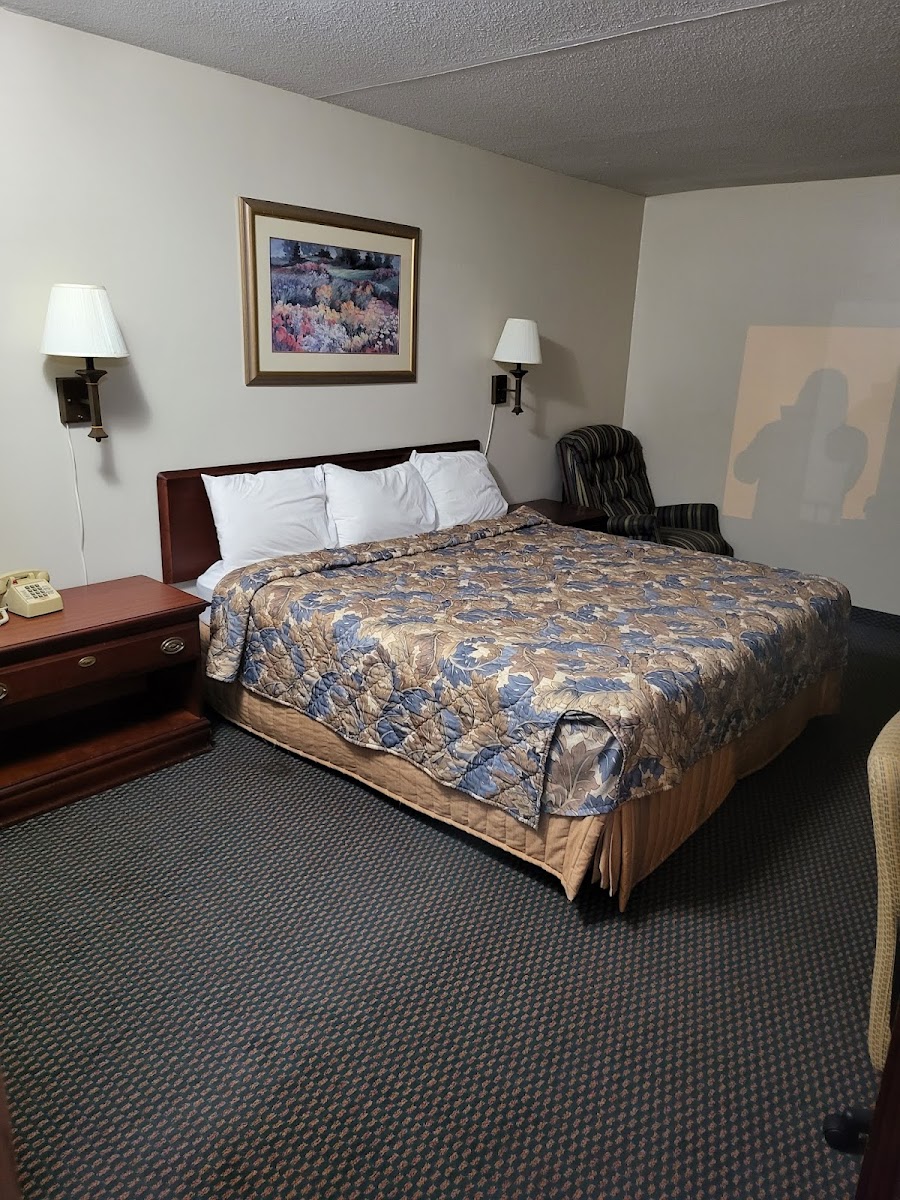 Red Carpet Inn Terre Haute, IN photo 2