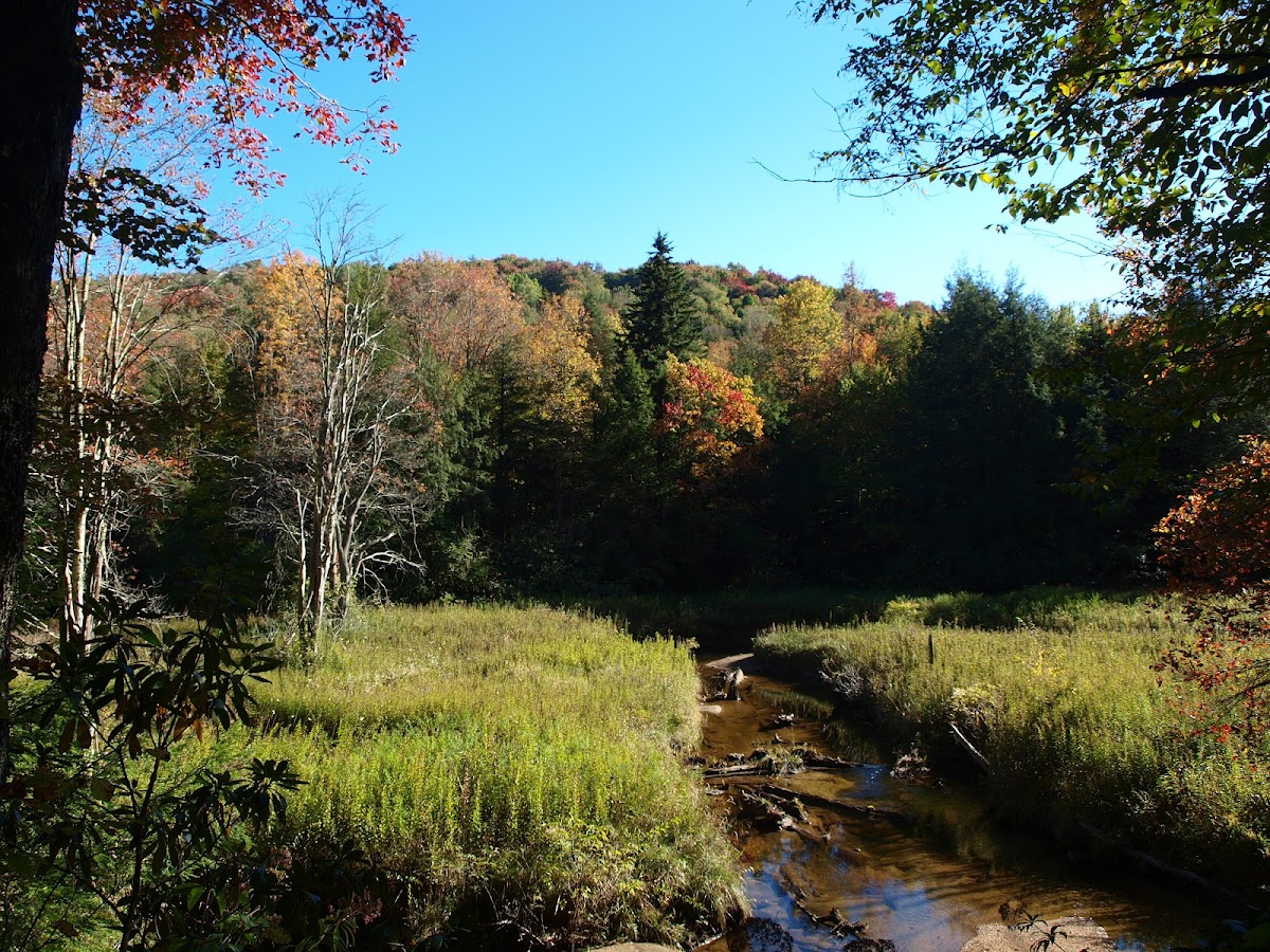 Otter Creek Wilderness